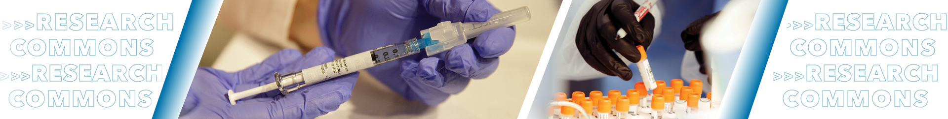 Clinical and Translational Research Gloved hands with a vaccine candidate and test tubes in a lab.