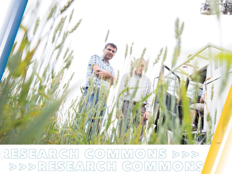 Faculty researchers in a field with equipment.